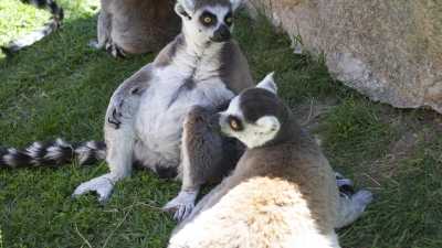 El Rincón de la Creatividad