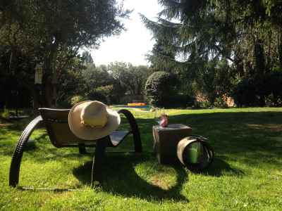 barbacoa perfecta en el jardín